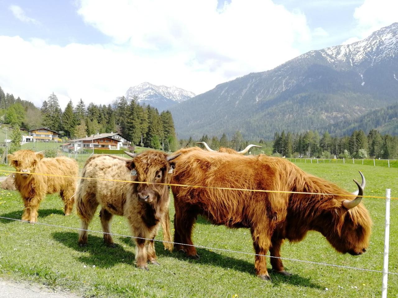 Camping Lechtal Vorderhornbach Экстерьер фото